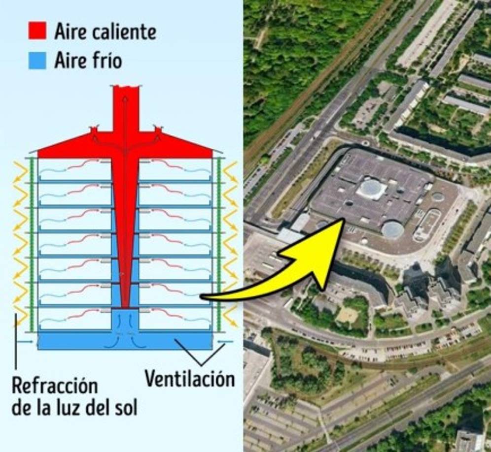 Estos insectos construyen nidos de hasta 3 metros de altura y trabajan en condiciones de calor insoportable.<br/>Al analizar la estructura de un termitero, en 1996 los arquitectos construyeron el Centro Eastgate en Zimbabwe. La temperatura en este lugar llega a los 40°C, pero adentro del edificio está fresco. Además, la construcción solo usa un 10% de energía a comparación con los edificios del lado.