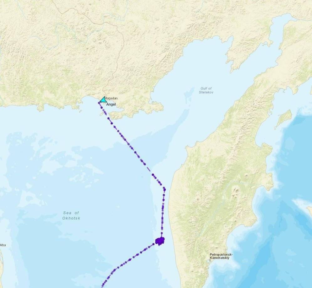 Equipados con agua y alimentos para apenas quince días, la travesía se convirtió en pesadilla cuando el motor de la embarcación falló, dejándolos a la deriva en una de las regiones marítimas más frías y peligrosas de Asia oriental.