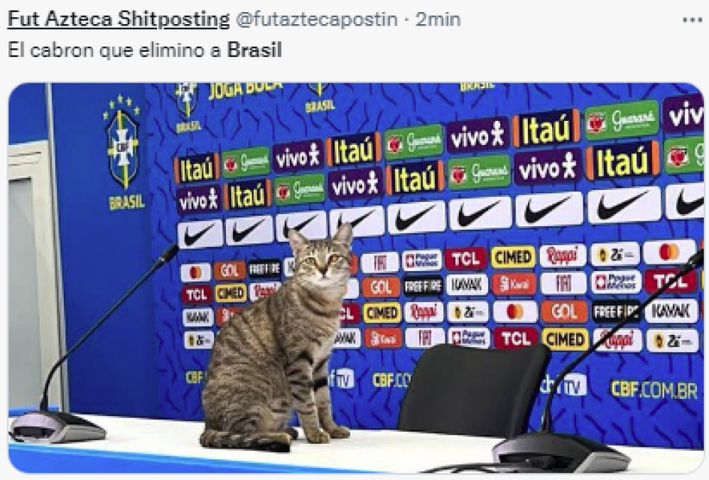 Los memes destrozan a Brasil tras eliminación: “La maldición del gato”