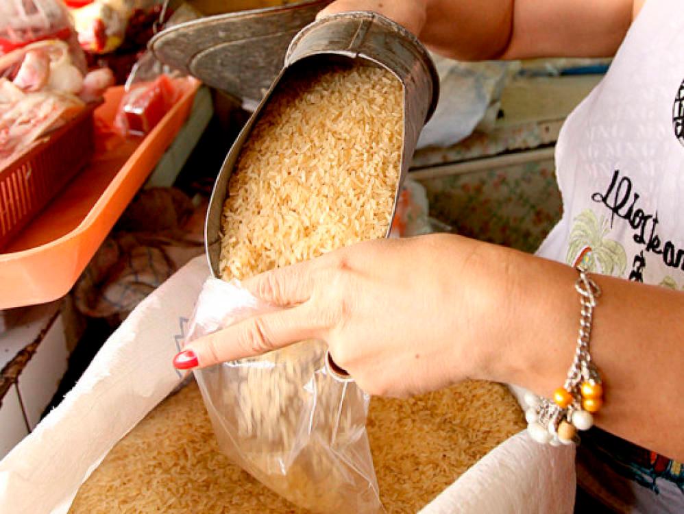 Buscan mejora del arroz, maíz y lácteos en el DR-CAFTA