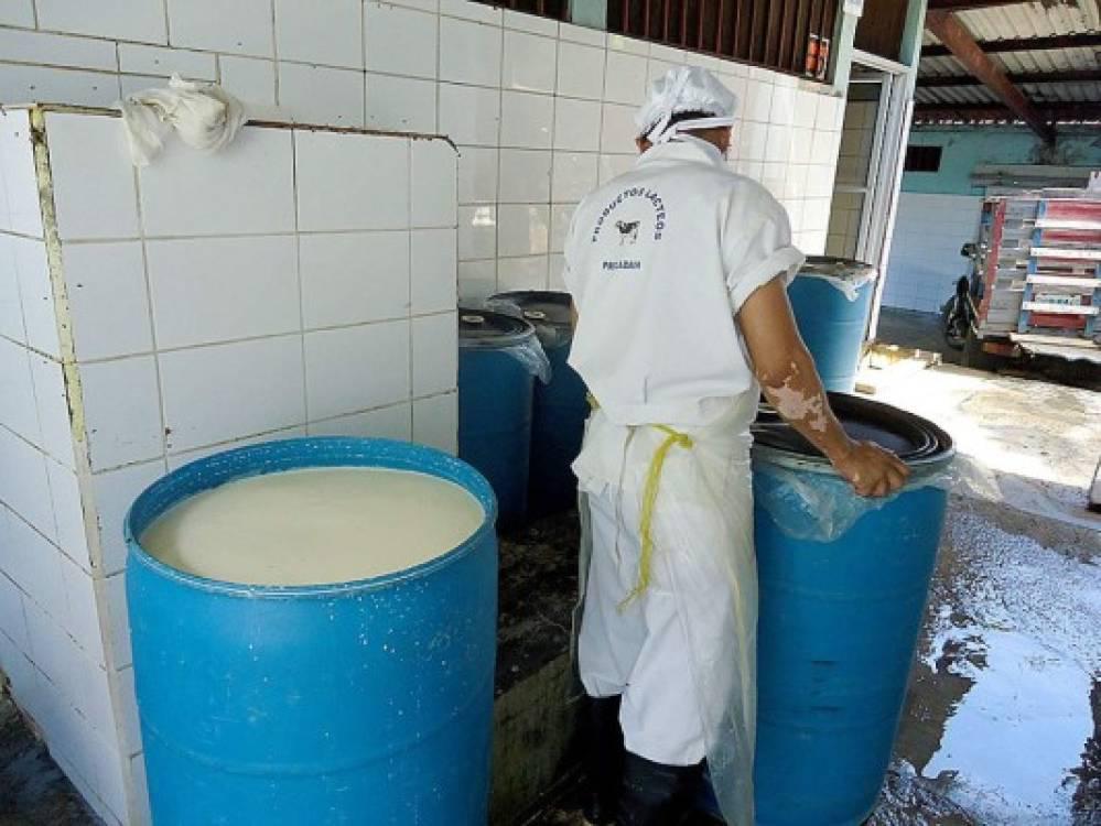 Qué países suministrarán leche y derivados a Honduras