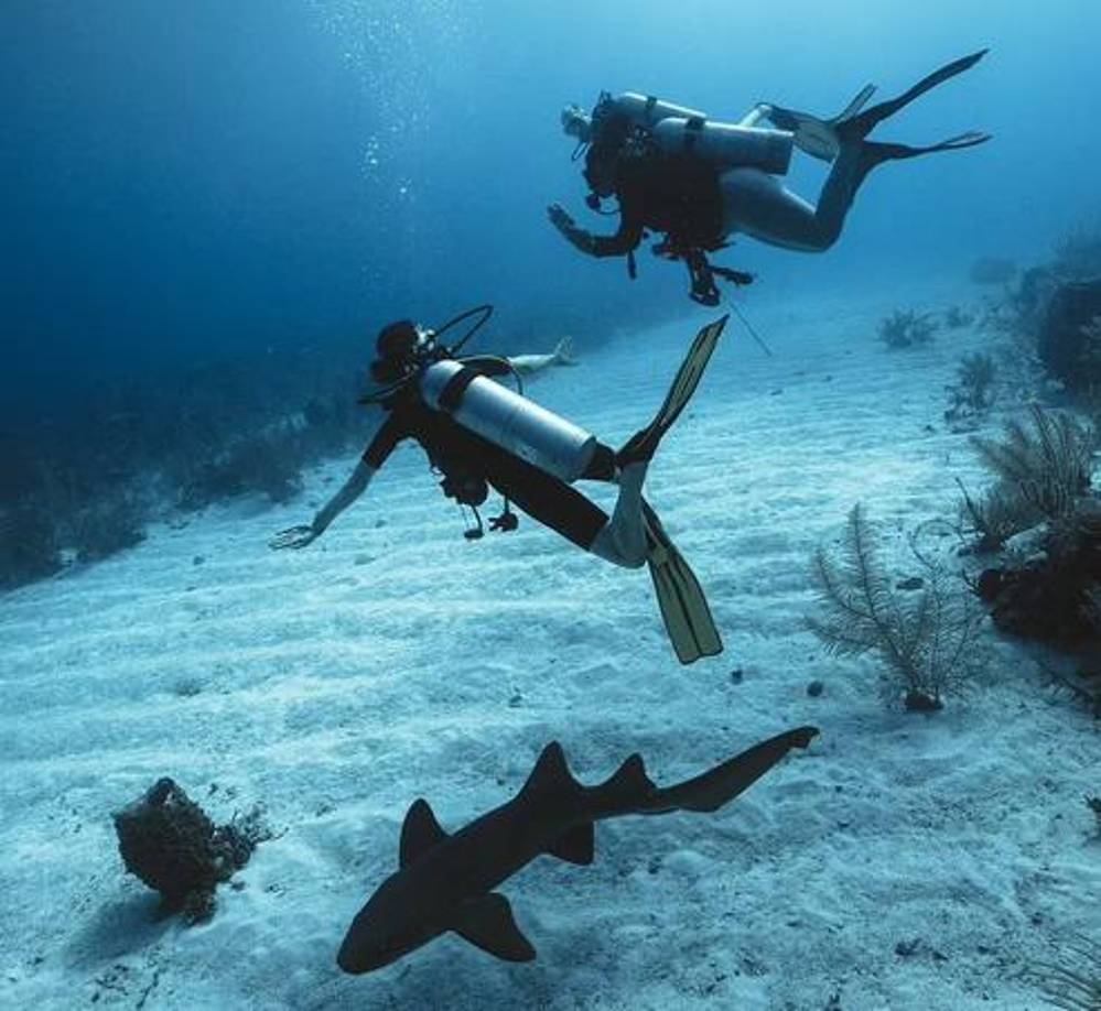 “Es realmente fantástico ver el ambiente submarino en Belice, y el maravilloso trabajo que han estado haciendo para proteger el coral y la vida de los peces”, escribió el duque en la publicación en Instagram.