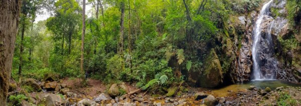 Belleza - La cascada El Quetzal, que se encuentra en el sendero La Cascada, tiene una caída de 80 metros. Su recorrido es de una hora desde el Parque Nacional Cusuco.