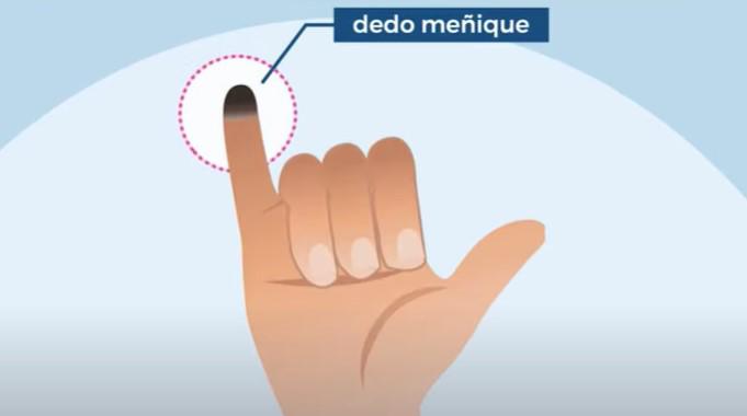 La tinta indeleble se aplica en el dedo meñique de la mano derecha.