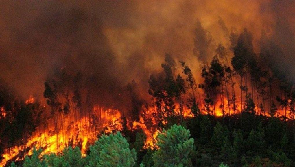 Los incendios consumen miles de hectáreas anualmente en Honduras.