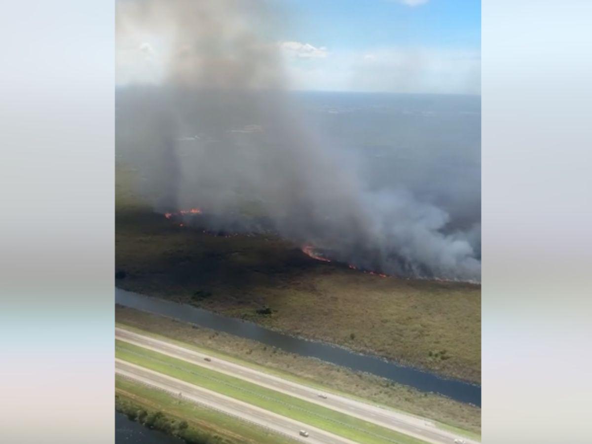 Incendio en Miami consume más de 100 hectáreas de área natural de EEUU