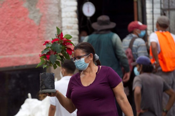 AME3363. EL CHIMBO (HONDURAS), 05/12/2020.- Una mujer carga una flor de pascua hoy, en la comunidad de El Chimbo, noreste de Tegucigalpa (Honduras). La pandemia de la covid-19 y los daños causados por las tormentas tropicales Iota y Eta en Honduras han reducido sustancialmente en diciembre la actividad comercial y el ambiente navideño, que en condiciones normales es marcada por ventas altas y la instalación de nacimientos en plazas públicas y privadas. EFE/ Gustavo Amador