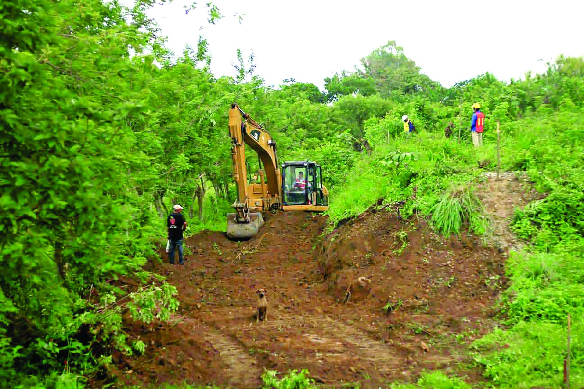 Maquinaria en plenas obras de construcción en la zona boscosa de La Ceiba.