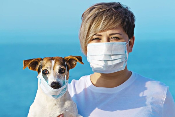 Woman in protective surgical mask holds dog in face mask. Chinese Coronavirus 2019-nCoV dangerous for pets.