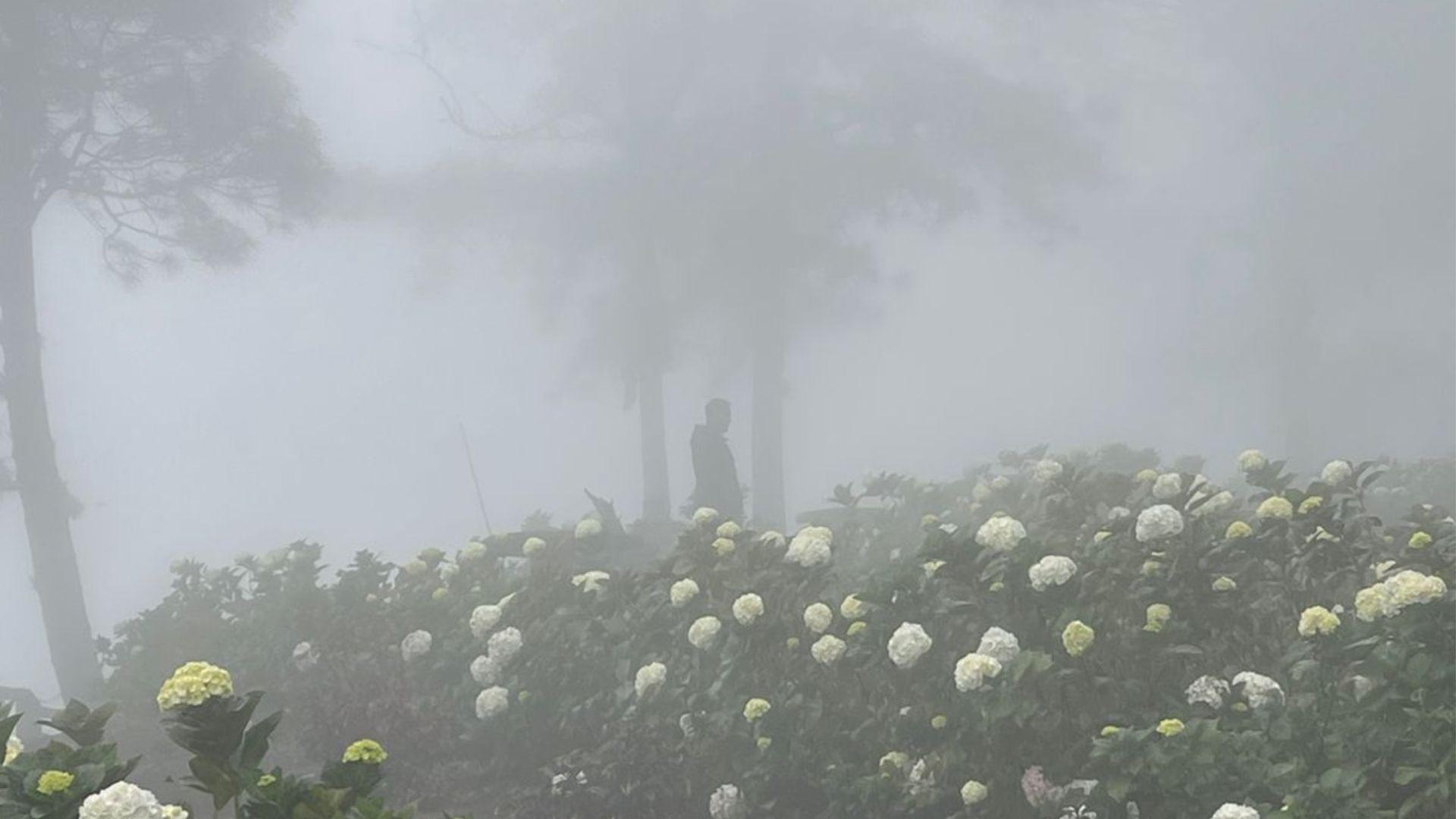 El termómetro está a 9 grados centígrados... y no es en La Esperanza, Intibucá