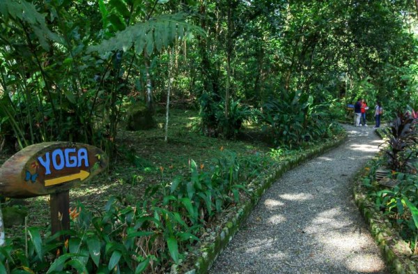 En el Hotel The Lodge At Pico Bonito se disfruta de diferentes actividades como el recorrido por varios senderos, visita a la finca de mariposas y el serpentario. Celular 2440-0388/0389.